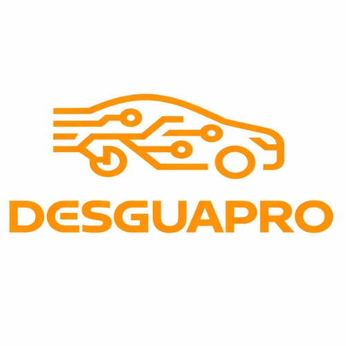 Logo DesguaPro